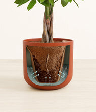 Load image into Gallery viewer, Earth Red