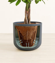 Load image into Gallery viewer, Iron Gray