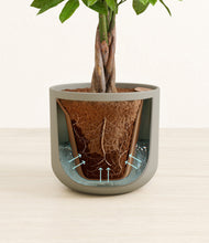 Load image into Gallery viewer, Sage Green