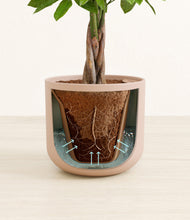 Load image into Gallery viewer, Sandy Pink