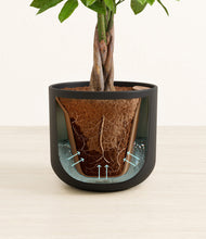 Load image into Gallery viewer, Stone Black