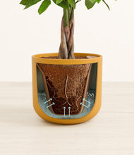 Load image into Gallery viewer, Sunset Orange