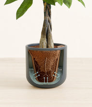 Load image into Gallery viewer, Iron Gray stand:all