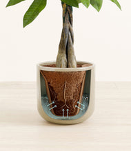Load image into Gallery viewer, Sage Green stand:all