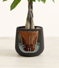 Load image into Gallery viewer, Black stand:all