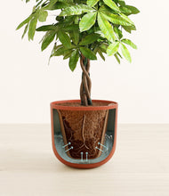 Load image into Gallery viewer, Earth Red stand:all