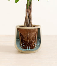 Load image into Gallery viewer, Almond Green stand:all