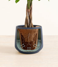 Load image into Gallery viewer, Deep Navy stand:all