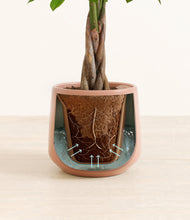 Load image into Gallery viewer, Calm Rose stand:all