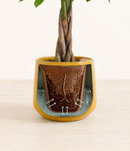 Load image into Gallery viewer, Mustard stand:all