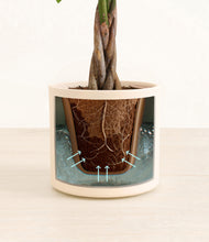 Load image into Gallery viewer, Cream stand:all