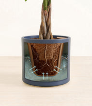 Load image into Gallery viewer, Deep Navy stand:all