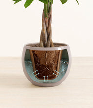 Load image into Gallery viewer, Winter Clouds stand:all