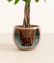 Load image into Gallery viewer, Calm Rose stand:all