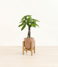 Load image into Gallery viewer, Hammered Peach Pink stand:bamboo