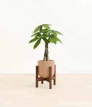 Load image into Gallery viewer, Striped Peach Pink stand:walnut