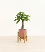 Load image into Gallery viewer, Hammered Rose Pink stand:bamboo