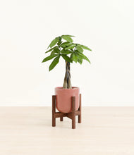 Load image into Gallery viewer, Hammered Rose Pink stand:walnut