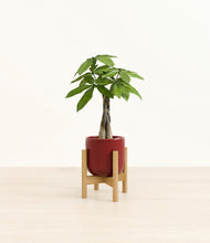 Load image into Gallery viewer, Striped Cherry Red stand:bamboo