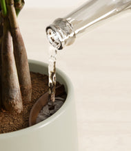 Load image into Gallery viewer, Turquoise stand:all