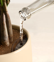 Load image into Gallery viewer, Almond Green stand:all