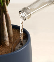 Load image into Gallery viewer, Deep Navy stand:all