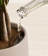 Load image into Gallery viewer, Eternal Gray stand:all