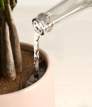 Load image into Gallery viewer, Gentle Pink stand:all