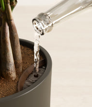 Load image into Gallery viewer, Dark Olive stand:all