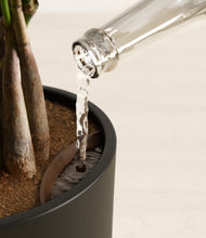 Load image into Gallery viewer, Black stand:all