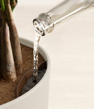 Load image into Gallery viewer, Natural Bamboo stand:all