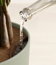 Load image into Gallery viewer, Sage Green stand:all