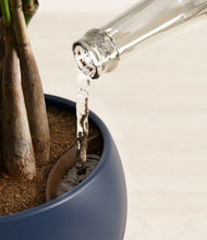 Load image into Gallery viewer, Deep Navy stand:all