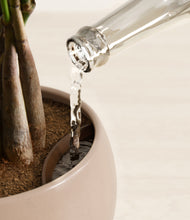 Load image into Gallery viewer, Desert Brown stand:all