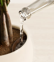 Load image into Gallery viewer, Shiny EggWhite stand:all