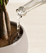 Load image into Gallery viewer, Winter Clouds stand:all