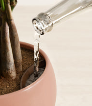 Load image into Gallery viewer, Calm Rose stand:all