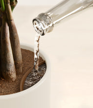 Load image into Gallery viewer, Cotton stand:all