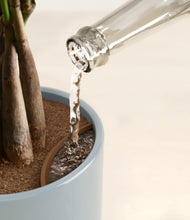 Load image into Gallery viewer, Whispering Waves stand:all