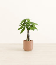 Load image into Gallery viewer, Hammered Peach Pink*****Profile