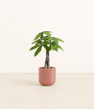 Load image into Gallery viewer, Hammered Rose Pink*****Profile