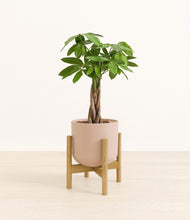Load image into Gallery viewer, Sandy Pink stand:bamboo
