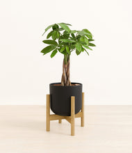 Load image into Gallery viewer, Stone Black stand:bamboo