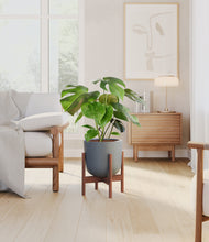 Load image into Gallery viewer, Iron Gray stand:walnut