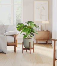 Load image into Gallery viewer, Sage Green stand:walnut