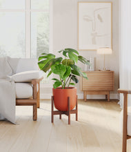 Load image into Gallery viewer, Earth Red stand:walnut