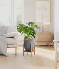 Load image into Gallery viewer, Iron Gray stand:bamboo