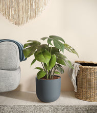 Load image into Gallery viewer, Iron Gray