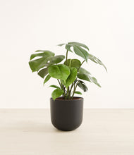 Load image into Gallery viewer, Stone Black*****Profile