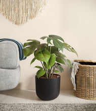 Load image into Gallery viewer, Stone Black